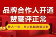 揭秘！小红书私域流量变现的实战玩法与高收益秘诀