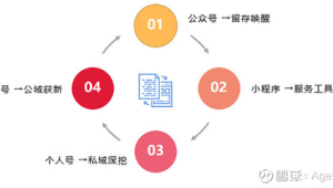 私域流量思维案例大全：全方位解析成功背后的运营策略
