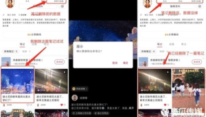 超划算！小红书账号批发，海量资源助你快速开启营销之路