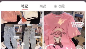 账号批发小红书：寻找优质批发渠道与技巧