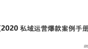 [公司名称]私域运营案例揭秘：从0到1的增长密码与实战策略