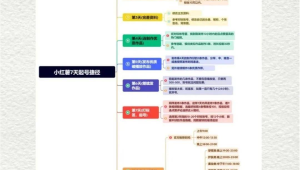 小红书多账号运营秘籍大公开，轻松玩转流量密码！