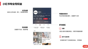 小红书号究竟是什么？它有何作用？