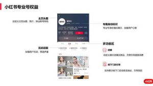 探秘小红书号官网！解锁流量密码与账号运营新玩法