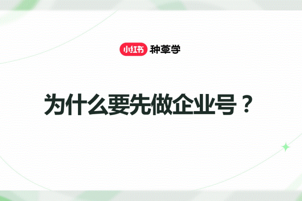 小红书企业号批发：优质货源与合作机会