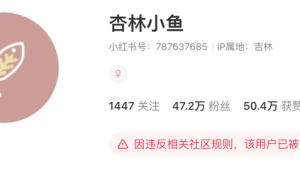 小红书万粉账号价格大揭秘，一文带你了解究竟值多少钱！