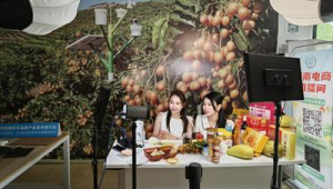 故事号无人直播教程：开启低成本、高效益直播新玩法