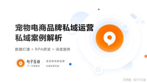 深度剖析：[品牌名]私域电商成功案例背后的营销策略与运营秘诀