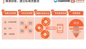 私域流量案例：移动行业的成功实践