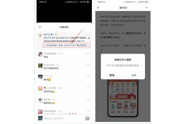 私域流量案例拆解：看[品牌名]如何实现惊人增长与转化