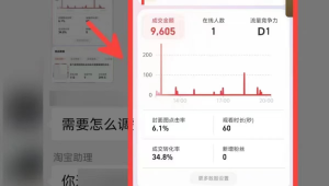 淘宝无人直播挂机教程，轻松实现直播自动运行技巧全解析