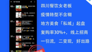 私域引流成功案例：看[品牌名]如何低成本高效获客