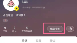 揭秘！查询小红书号主身份的实用方法大公开