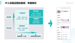 惊艳！私域人设案例大揭秘，看Ta如何圈粉无数打造超强影响力