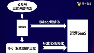 惊爆！这个私域裂变案例，实现用户量几何级增长