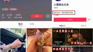 从0到1打造小红书个人IP账号，这些秘籍你不能错过！