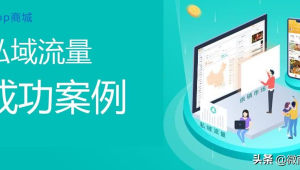 私域运营成功案例揭秘：看这些企业如何实现客户价值最大化