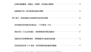 私域流量爆款案例库3：剖析成功典范，解锁流量增长密码