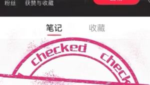 探索小红书号商渠道网站，开启多元账号资源获取新途径