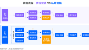揭秘跨境私域电商成功案例：从0到1的增长密码与实战策略