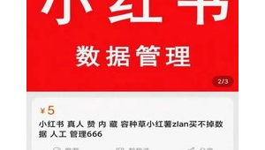 小红书号初始是几位数字呢？