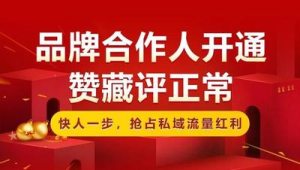 揭秘！小红书私域流量变现的实战玩法与高收益秘诀