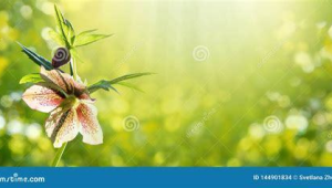 常见引流方法大揭秘及实用技巧分享