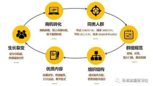 白酒私域运营实战：[品牌名]如何实现用户裂变与销量增长