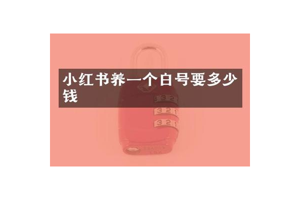 小红书白号多少钱一个？一文带你了解真实价格内幕！