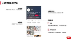 揭秘小红书号店一体玩法，开启流量与销量双赢新征途！