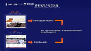 拆解知名品牌私域案例，揭秘流量转化与用户留存的成功密码