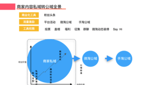私域流量案例PPT：解锁企业客户增长与转化的实战秘诀