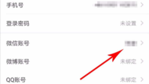 哪里可以买小红书账号？购买渠道与注意事项揭秘