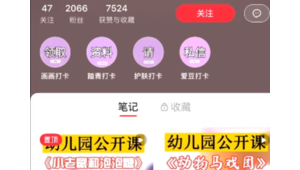 轻松掌握！小红书书号查看方法大揭秘