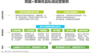 私域流量营销案例深度剖析：策略、成效与启示