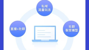 经典私域流量案例分享及分析