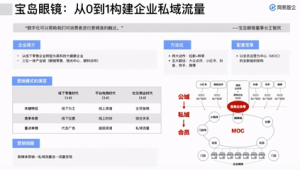 私域流量模式案例：看[品牌名]如何通过精准运营实现销量飙升