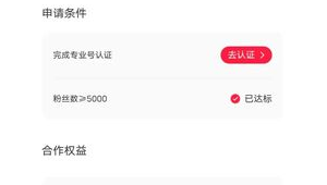 小红书粉丝量与赚钱挂钩？到底多少粉才能开启财富大门？