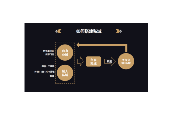 私域产品究竟怎么样？全方位剖析其优势与挑战