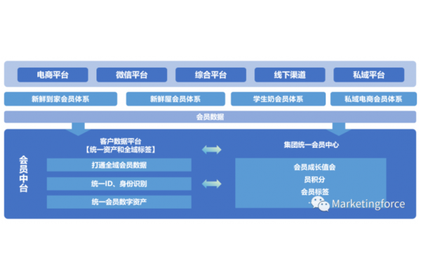私域精细化运营案例：打造高效客户关系