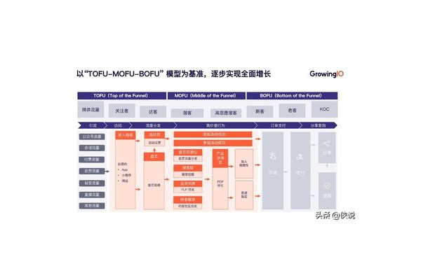 私域电商驱动模型案例：剖析成功背后的运营策略与增长逻辑