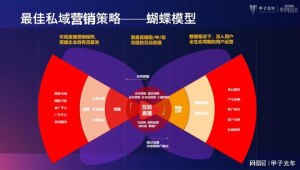 私域流量案例总结：成功经验与实践探索