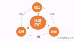 私域流量营销案例论述：成功经验与策略分享