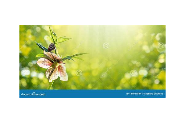 实用引流方法小技巧，助你轻松吸引流量拓展人脉资源