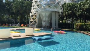 速看！小红书号查询入口大揭秘