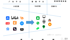 私域流量用户画像案例揭秘：精准定位与营销策略借鉴
